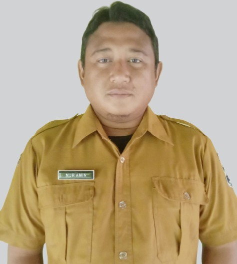 NUR AMIN